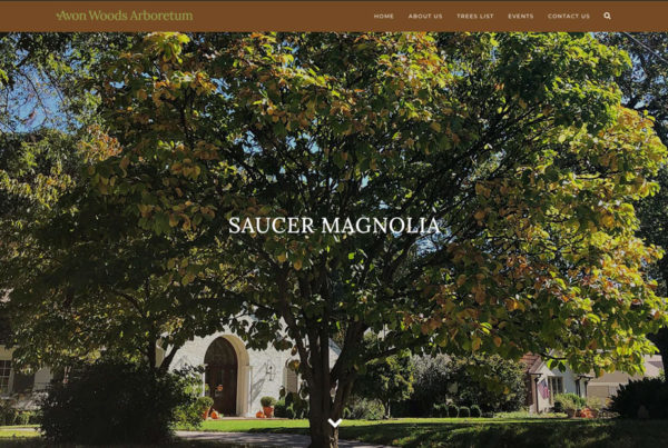 Saucer Magnolia page from avonwoods.com