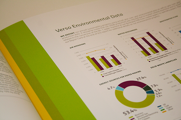 Verso Sustainability Report 2008