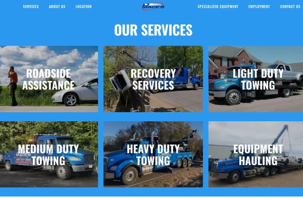 Feature cards share the array of Mace's services at a glance with brief descriptions revealed on hover.